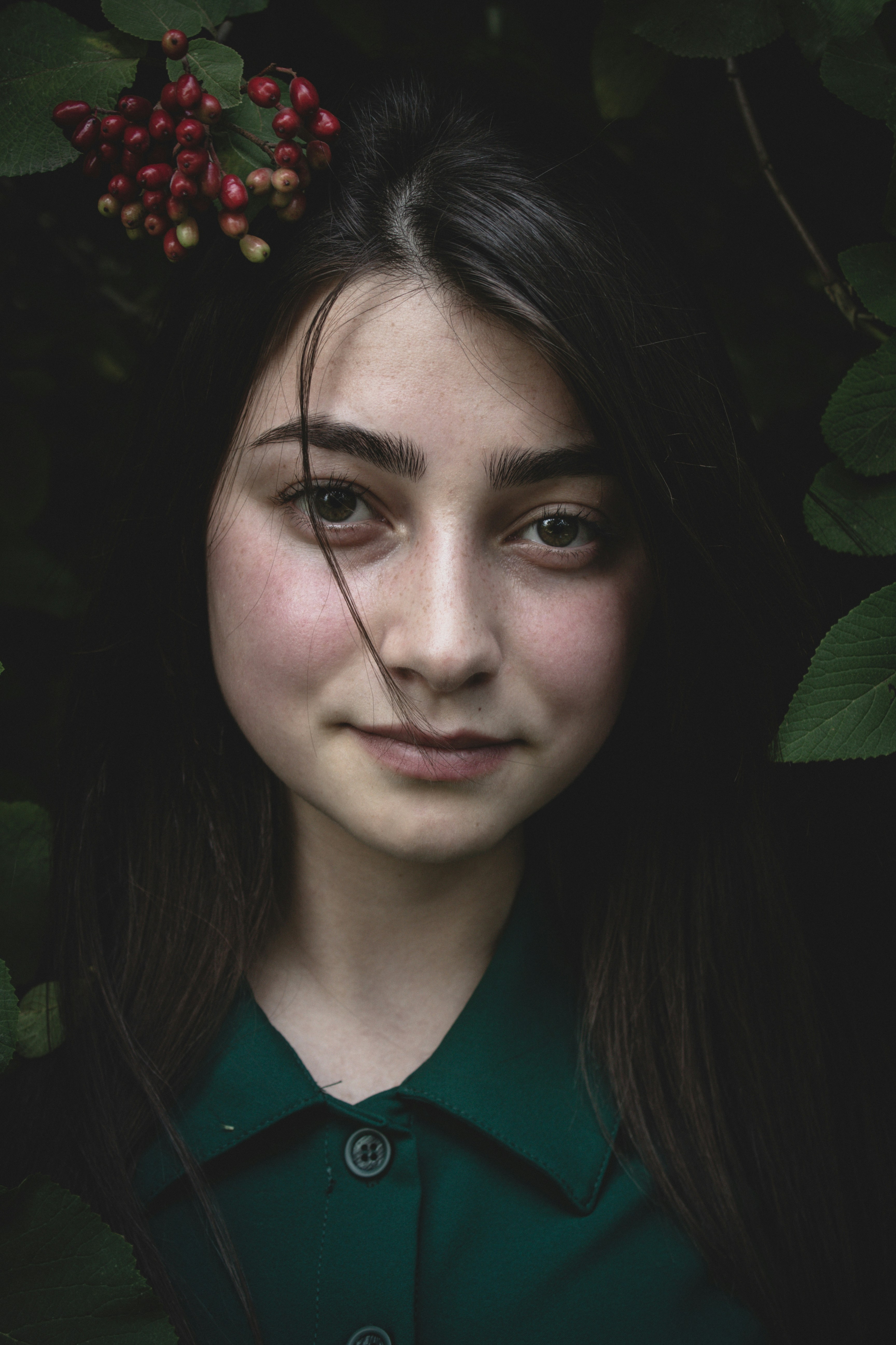 最新更新：治愈晨光海报